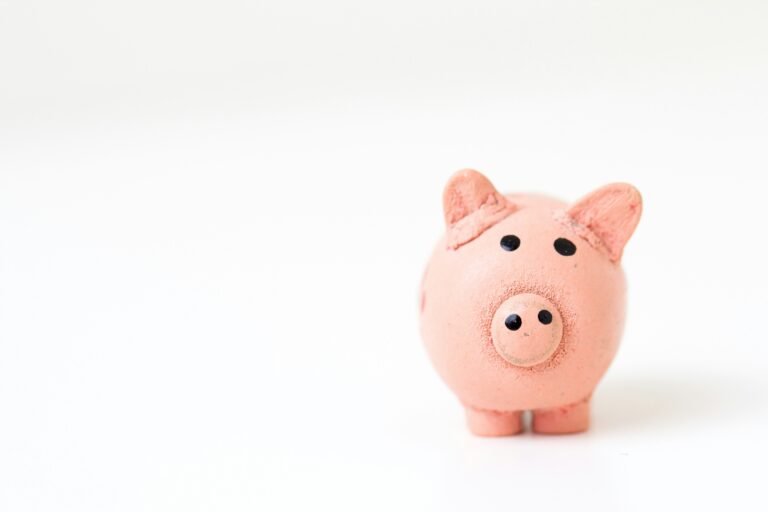 Un salvadanaio per rappresentare il risparmio con domotica